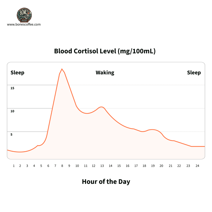 Blood cortisol peaks after waking, then gradually declines throughout the day.