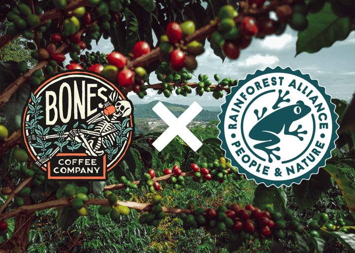 Single Origin: Colombia