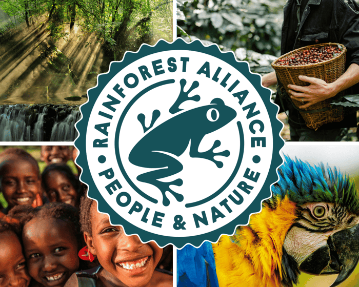 What is Rainforest Alliance Certification?
